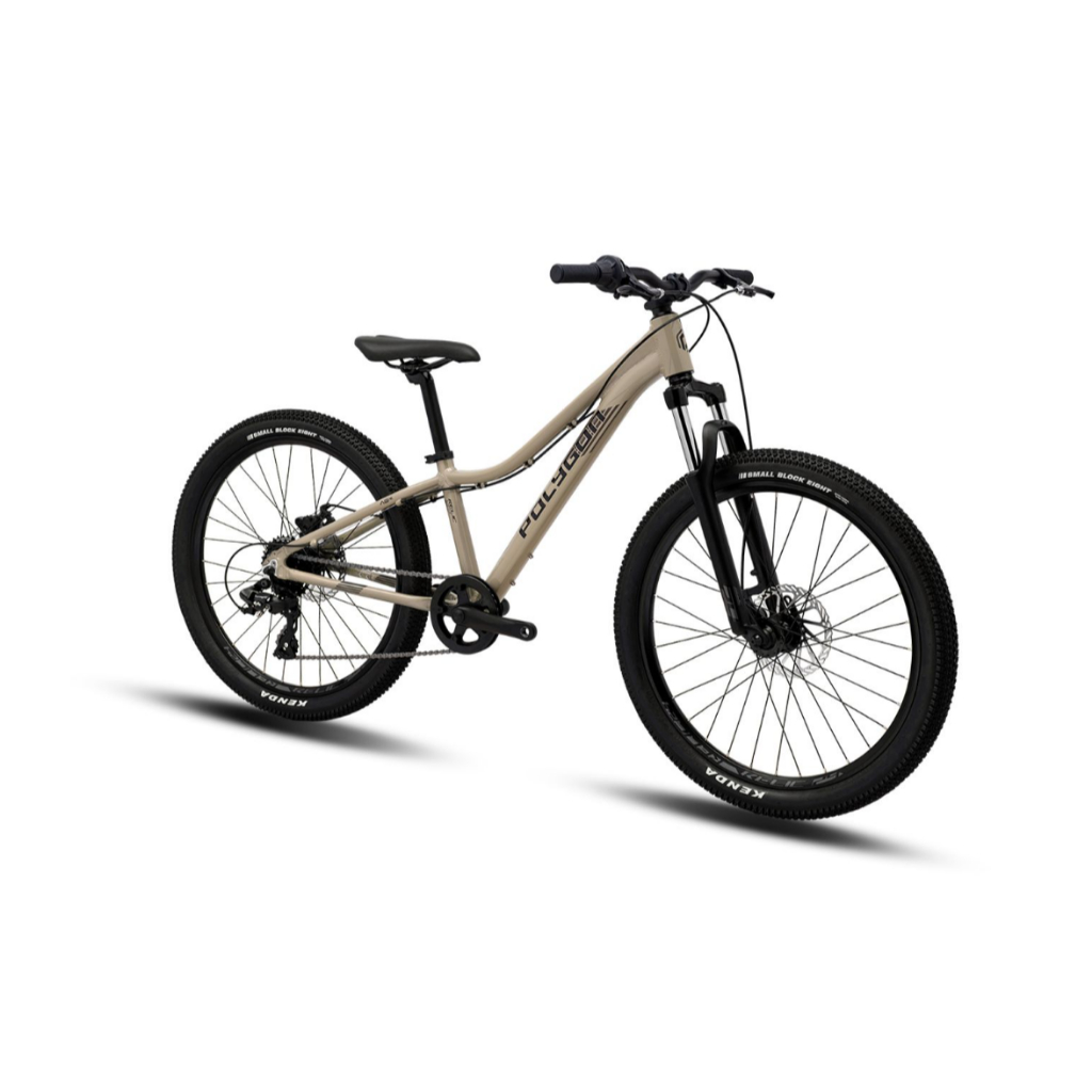 Sepeda MTB 24 Inch Polygon Relic Terbaru Sepeda Remaja Polygon