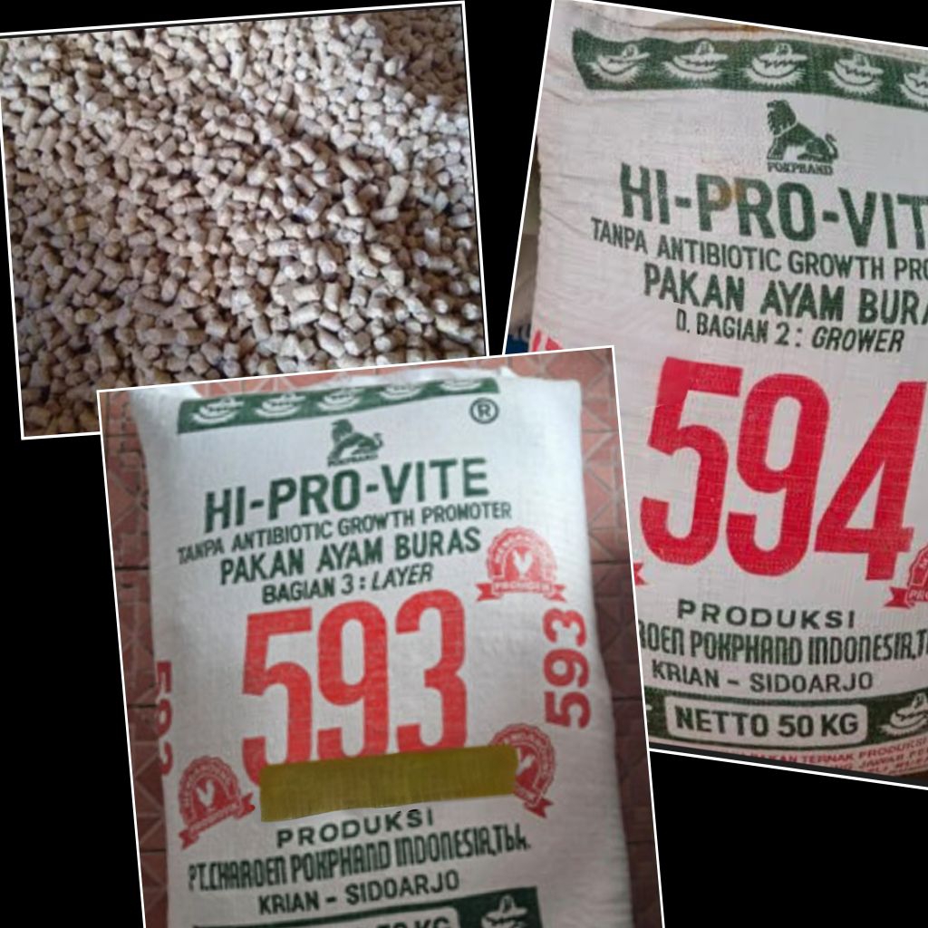 594&593 hi pro Vite pakan ayam bangkok