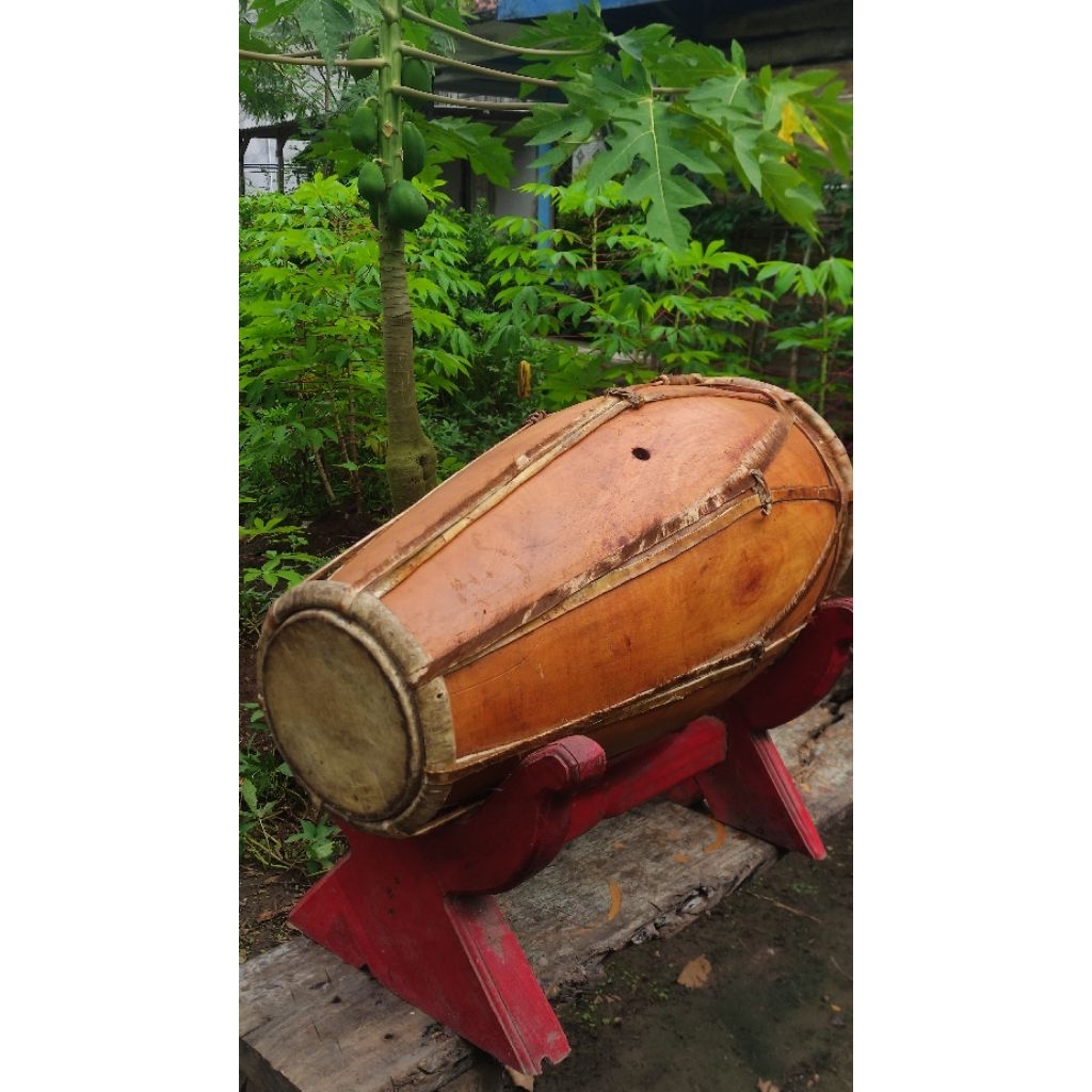 Kendang ciblon kayu nangka
