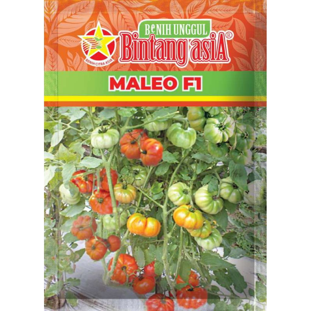 Benih Tomat Unggul MALEO F1 kemasan 5gr buah lebat tahan virus cocok untuk dataran rendah