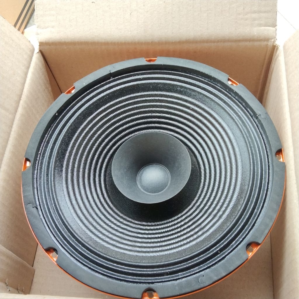 speaker acs 10 in Full Range