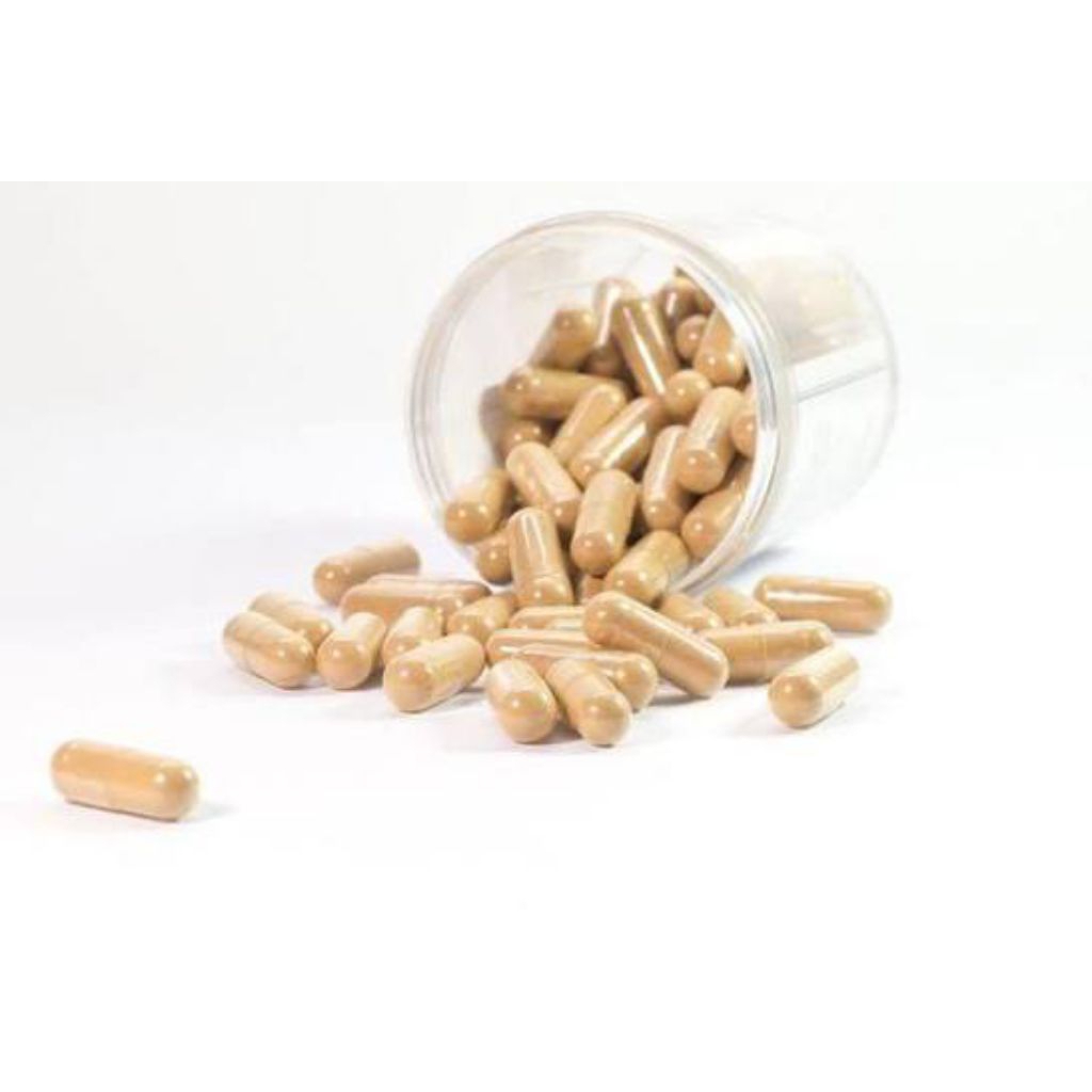 KAPSUL CACING OBAT TIPES