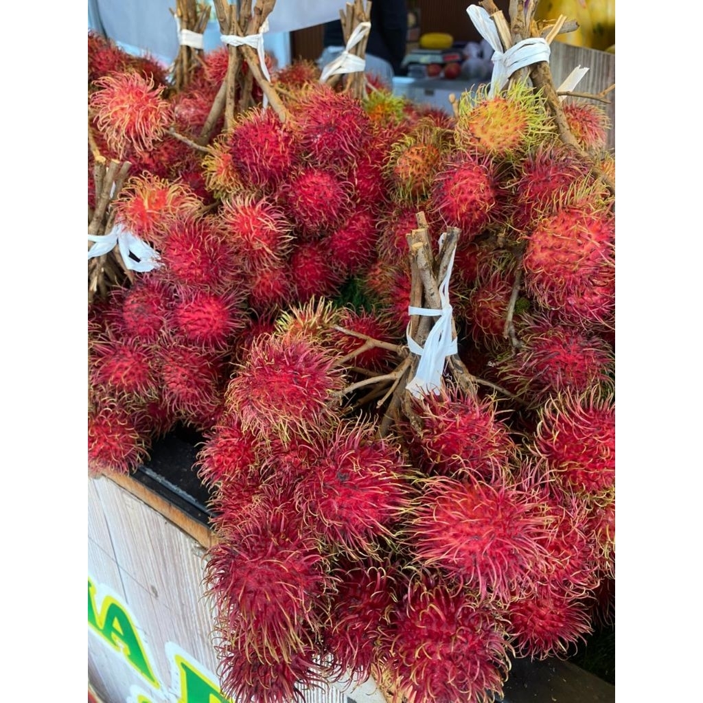BUAH RAMBUTAN BINJAY|rambutan binjai|buah rambutan lebak|buah rambutan|nuri fruits|buah segar bandun