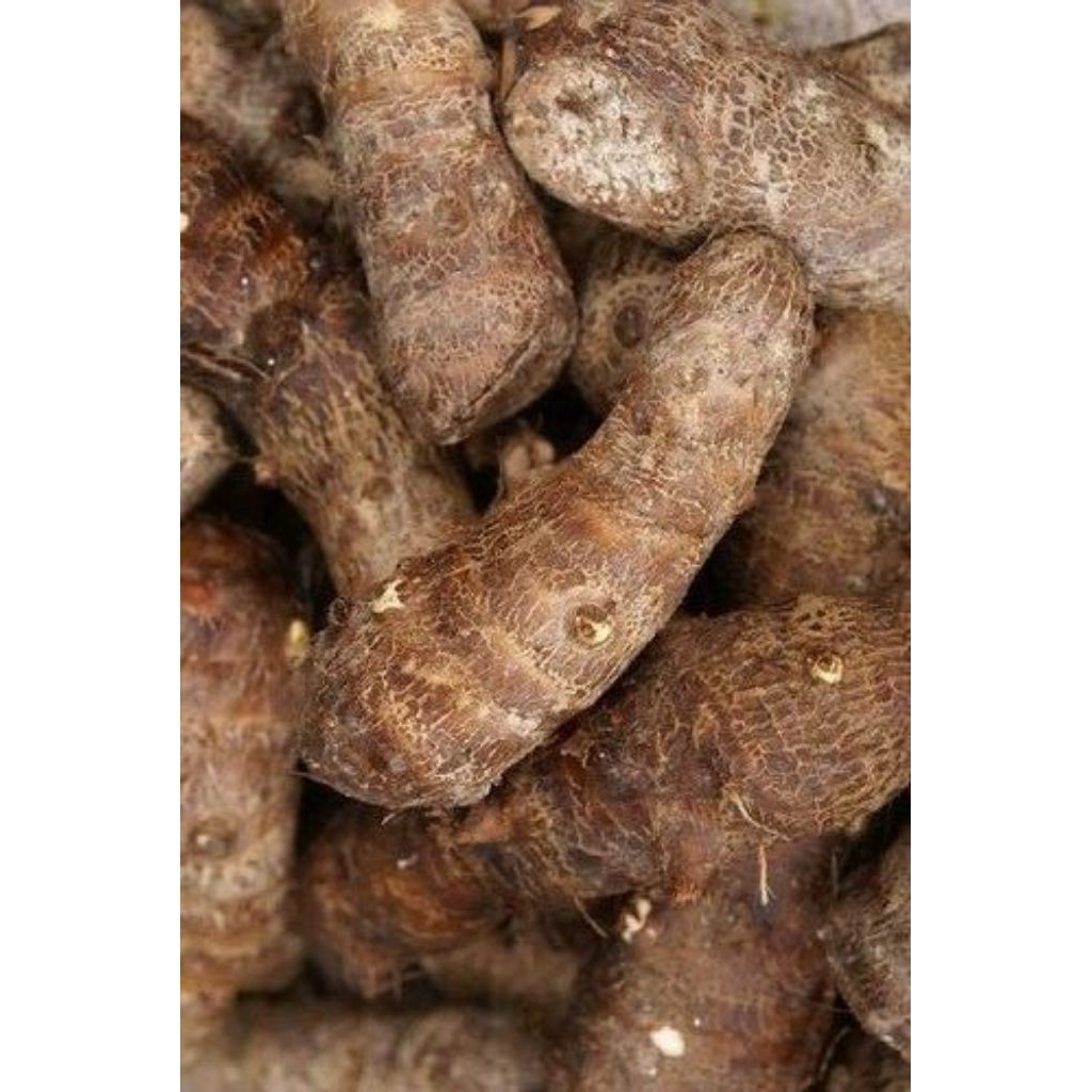 ubi talas kimpul pulen