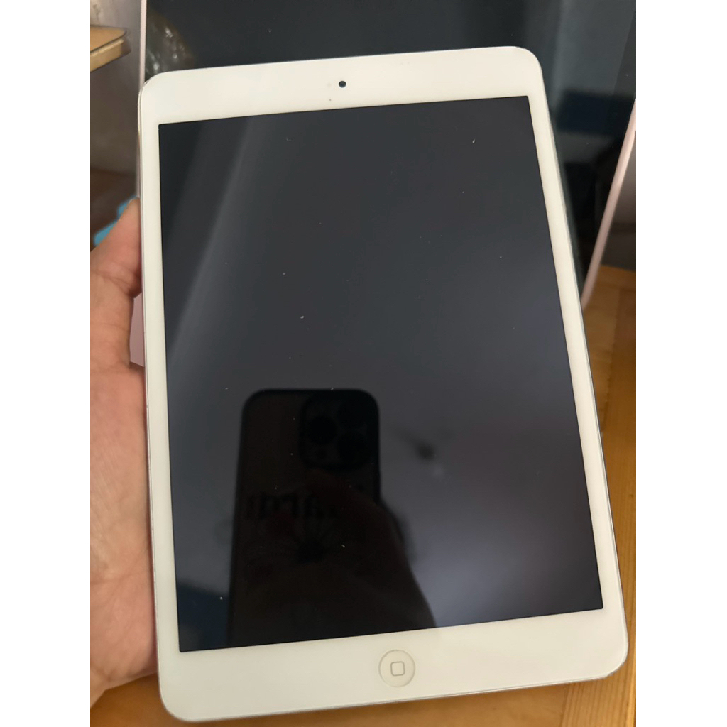 Ipad Mini 2