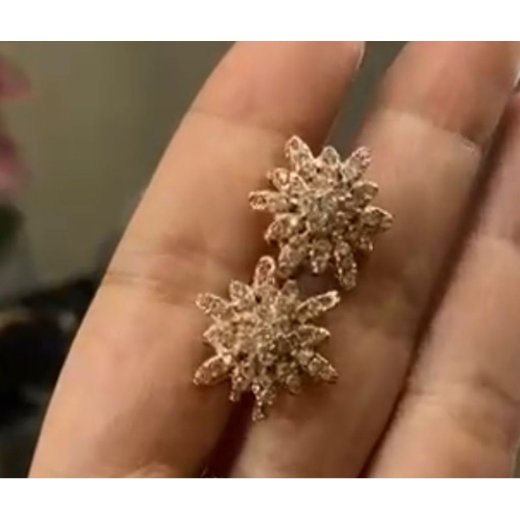 anting tusuk bintang laut