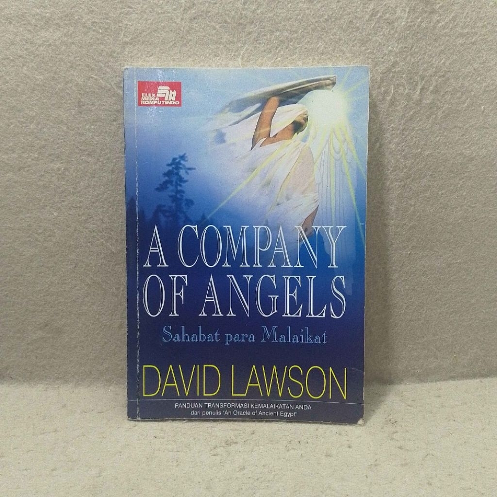 Buku A Company of Angels - Sahabat para Malaikat - David Lawson