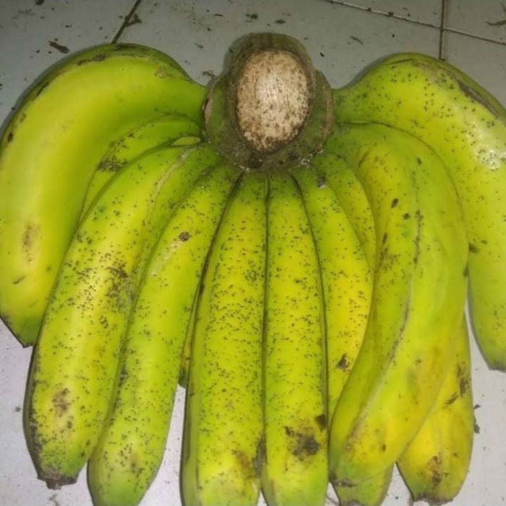 Pisang ambon Lumut Sukabumi fresh 1kg manis legit bangett