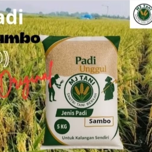 bibit padi unggul Srikandi jumbo (SAMBO) 5KG DISCON