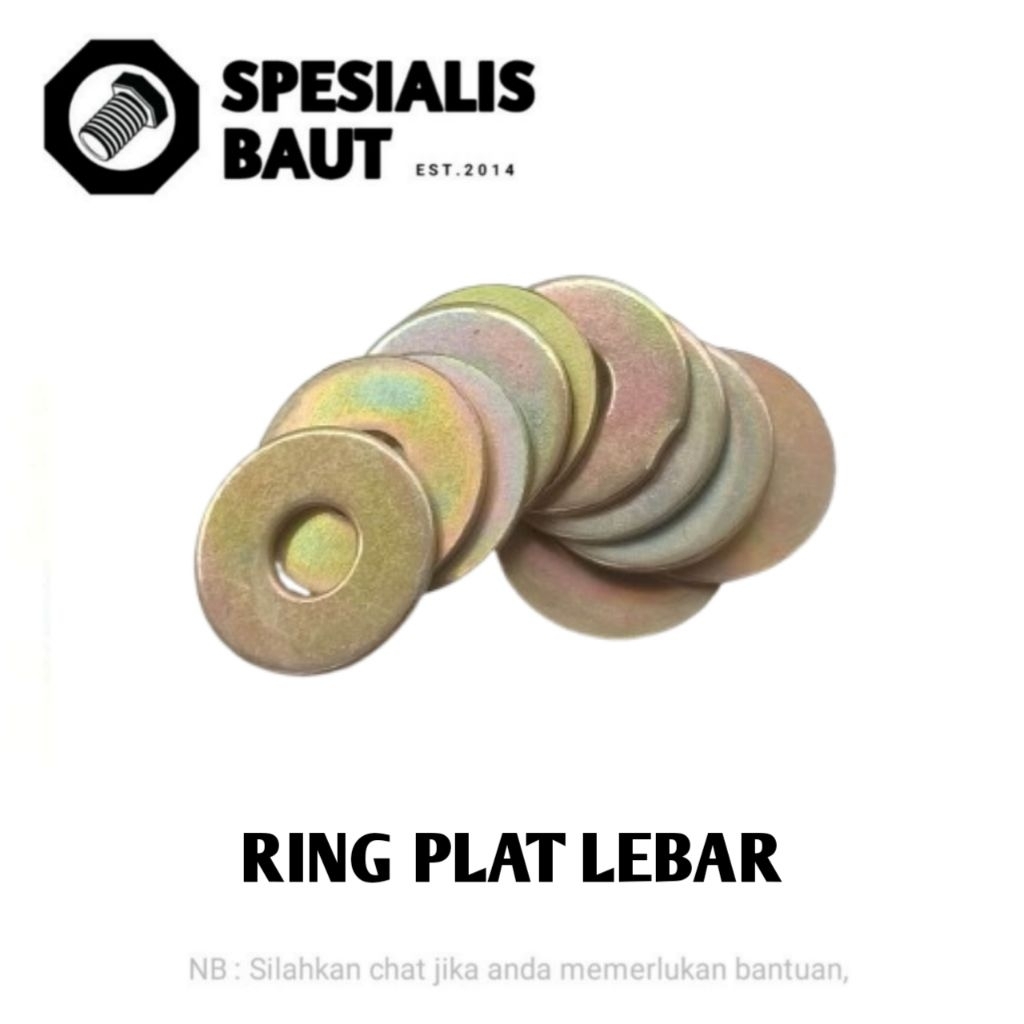 Ring Plat M6x30 Lebar