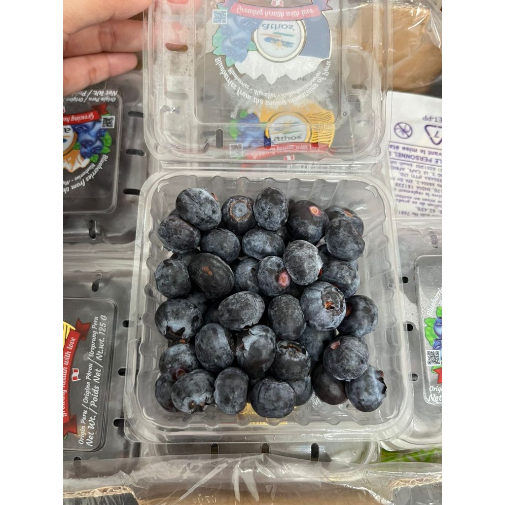Blueberry  Fresh Import