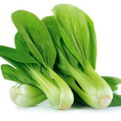 Sawi Sendok / Pakcoy / Sawi Daging