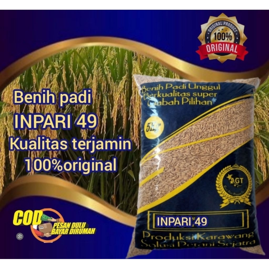 Benih bibit padi inpari 49 kemasan 1kg kualitas terjamin asli