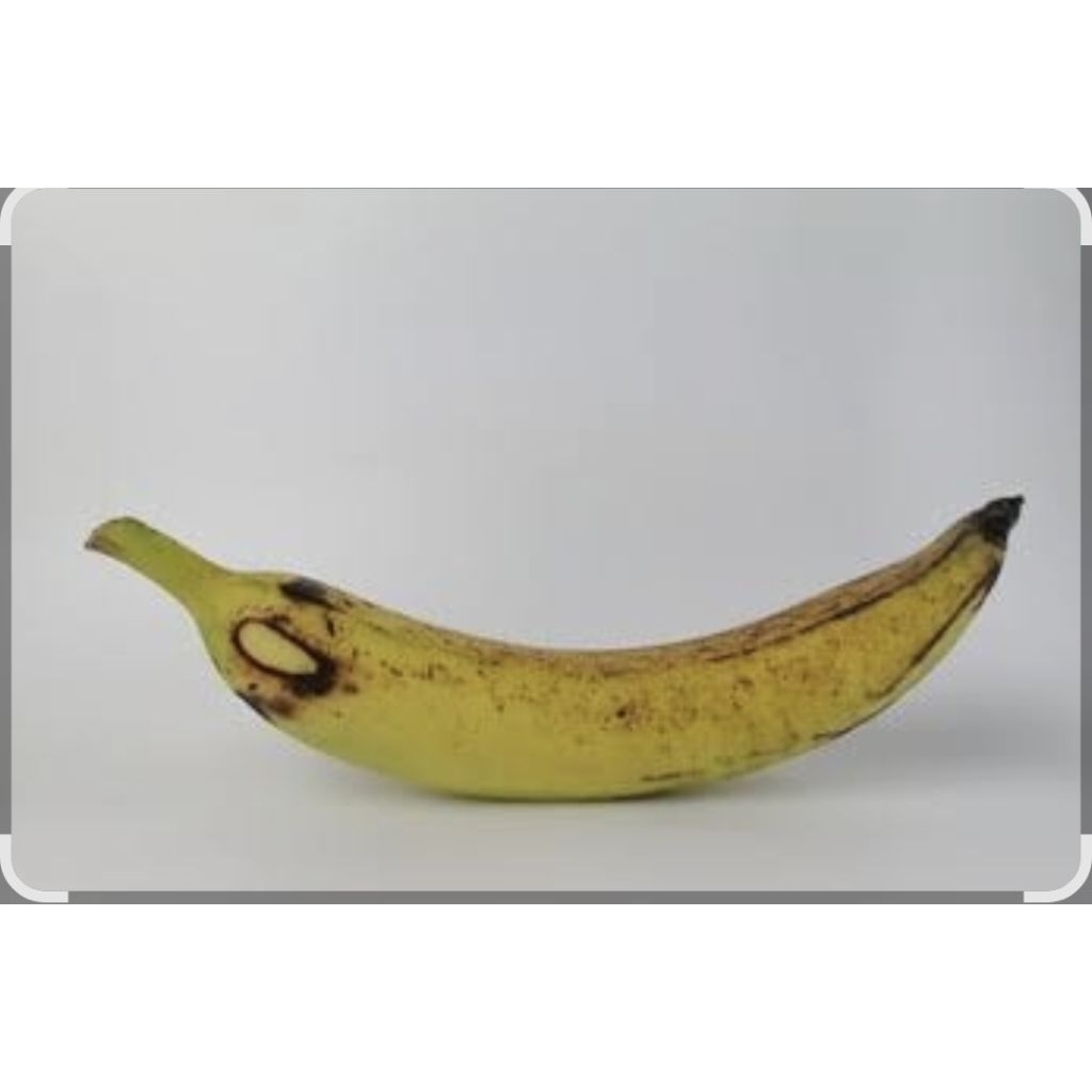 buah pisang tanduk madu