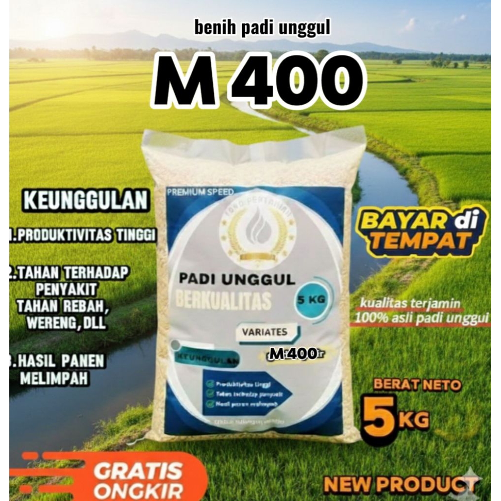 benih padi unggul M400 kualitas tinggi kemasan 5kg