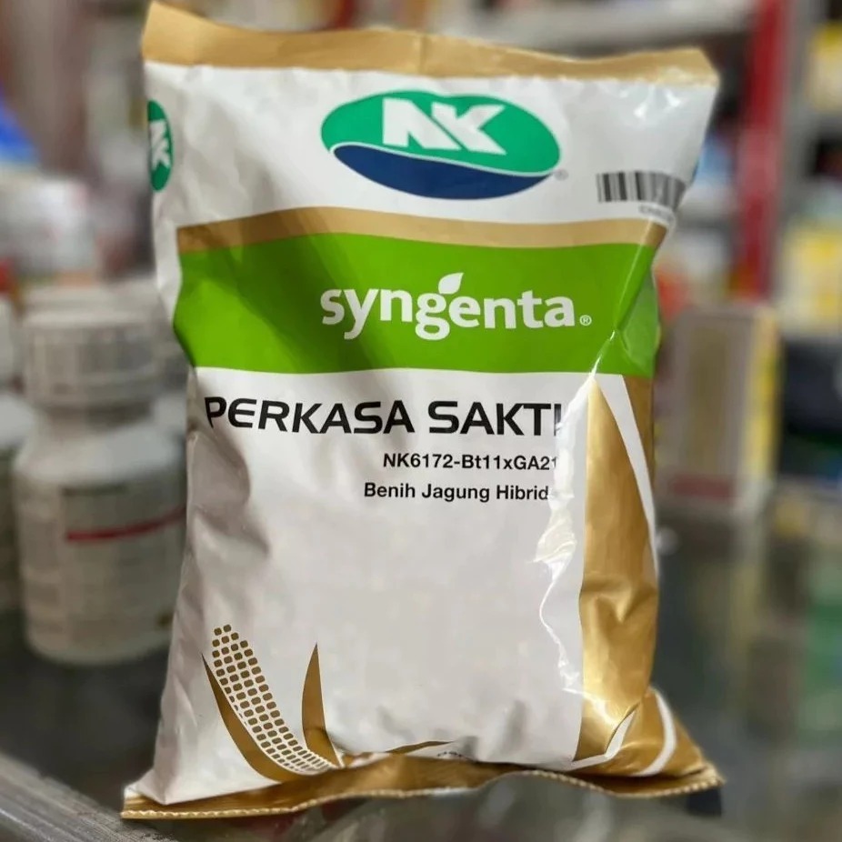 BENIH JAGUNG NK PERKASA SAKTI 1 KG - Benih Jagung Syngenta NK Sakti