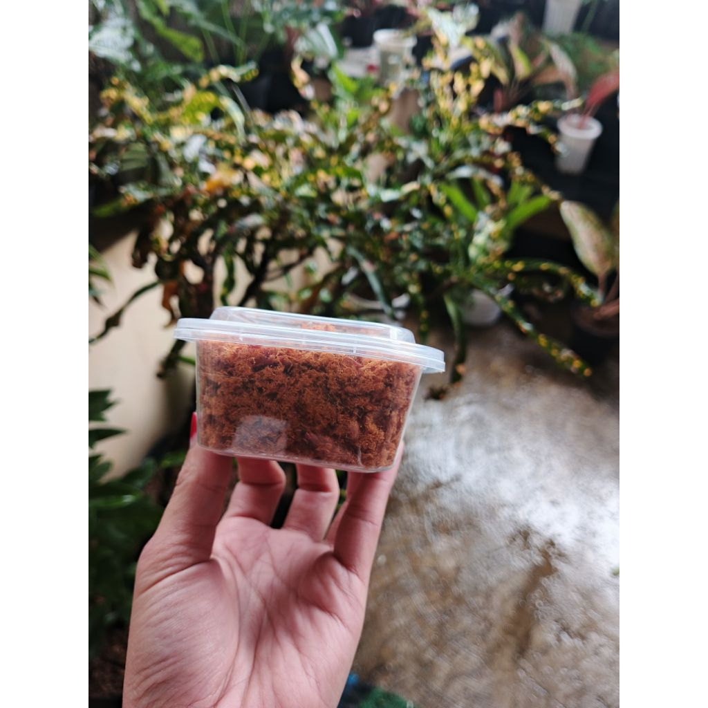 abon ayam asli sukabumi ABON AYAM SPESIAL ASLI SUKABUMI MURAH GURIH