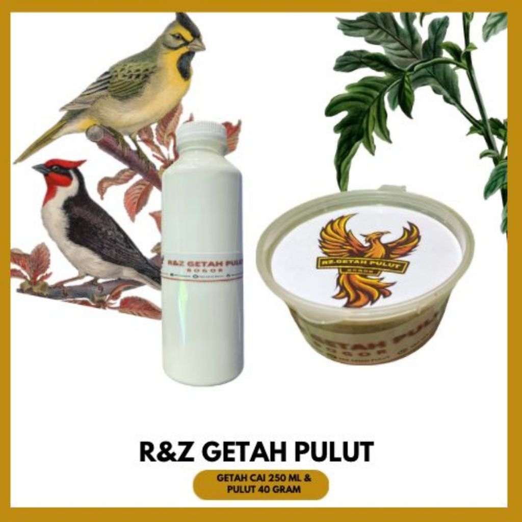 GETAH PULUT + GETAH KATET CAIR BERAT BERSIH GETAH PULUT( 41 GRAM)