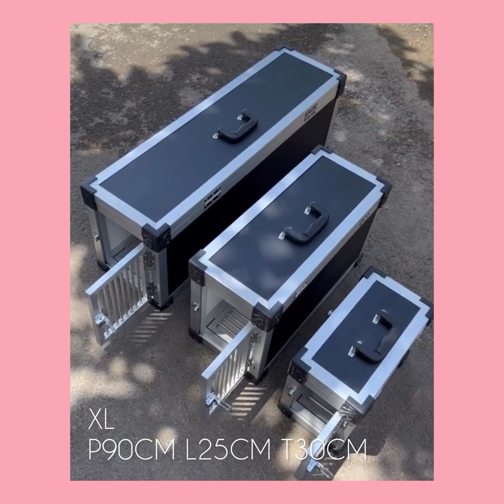 Box XL Burung ParrotMacaw