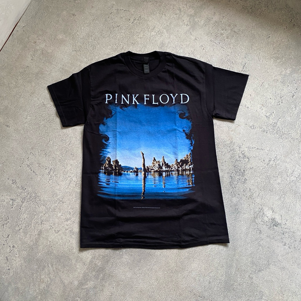 Pink Floyd - Wish You Were Here