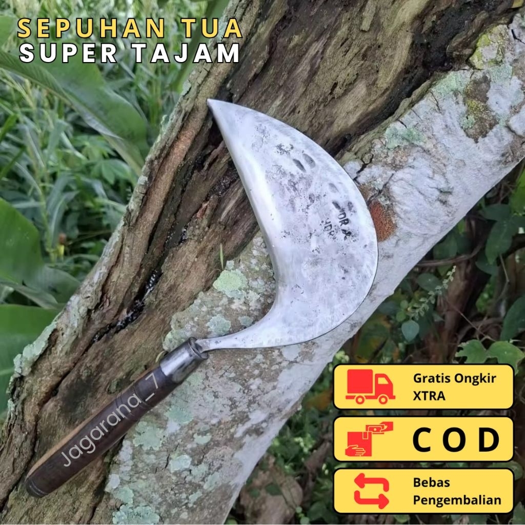 SABIT/ARIT Rumput Baja SEPUH TUA Super Tajam | Arit Bandungan Buat Ngarit & Panen Padi | Jagarana_7
