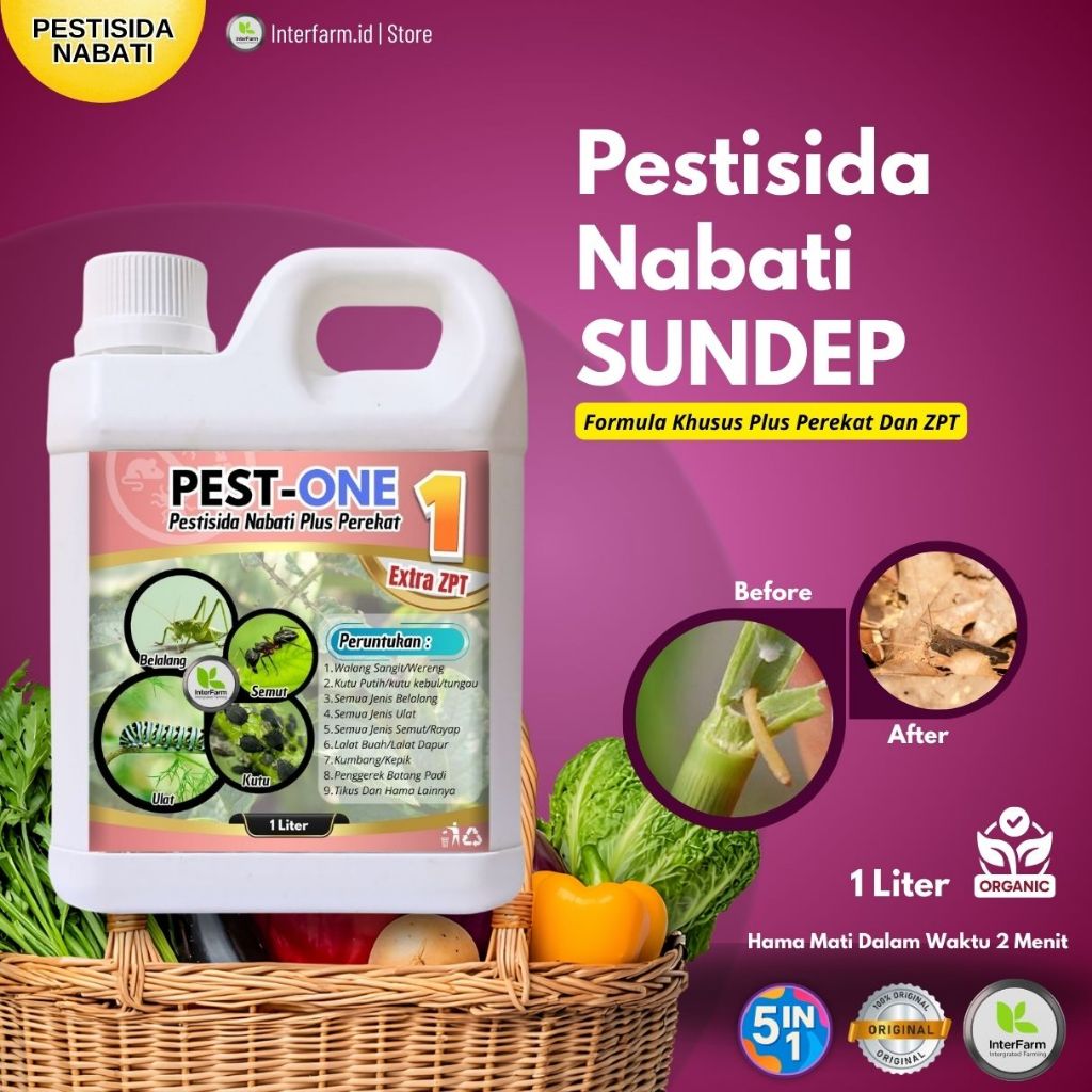 Pestisida Nabati Untuk Hama Penggerek Batang Padi, Plus perekat dan ZPT, Membasmi  plus menyuburkan