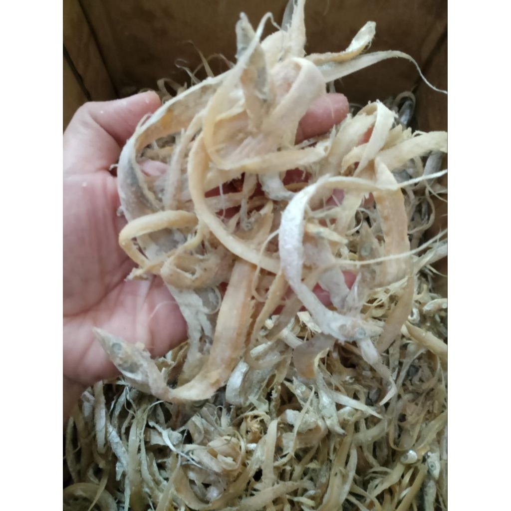 IKAN ASIN LAYUR KECIL/BABY LAYUR