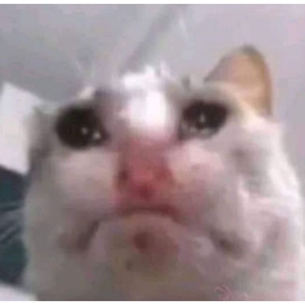 refill cushion wardah