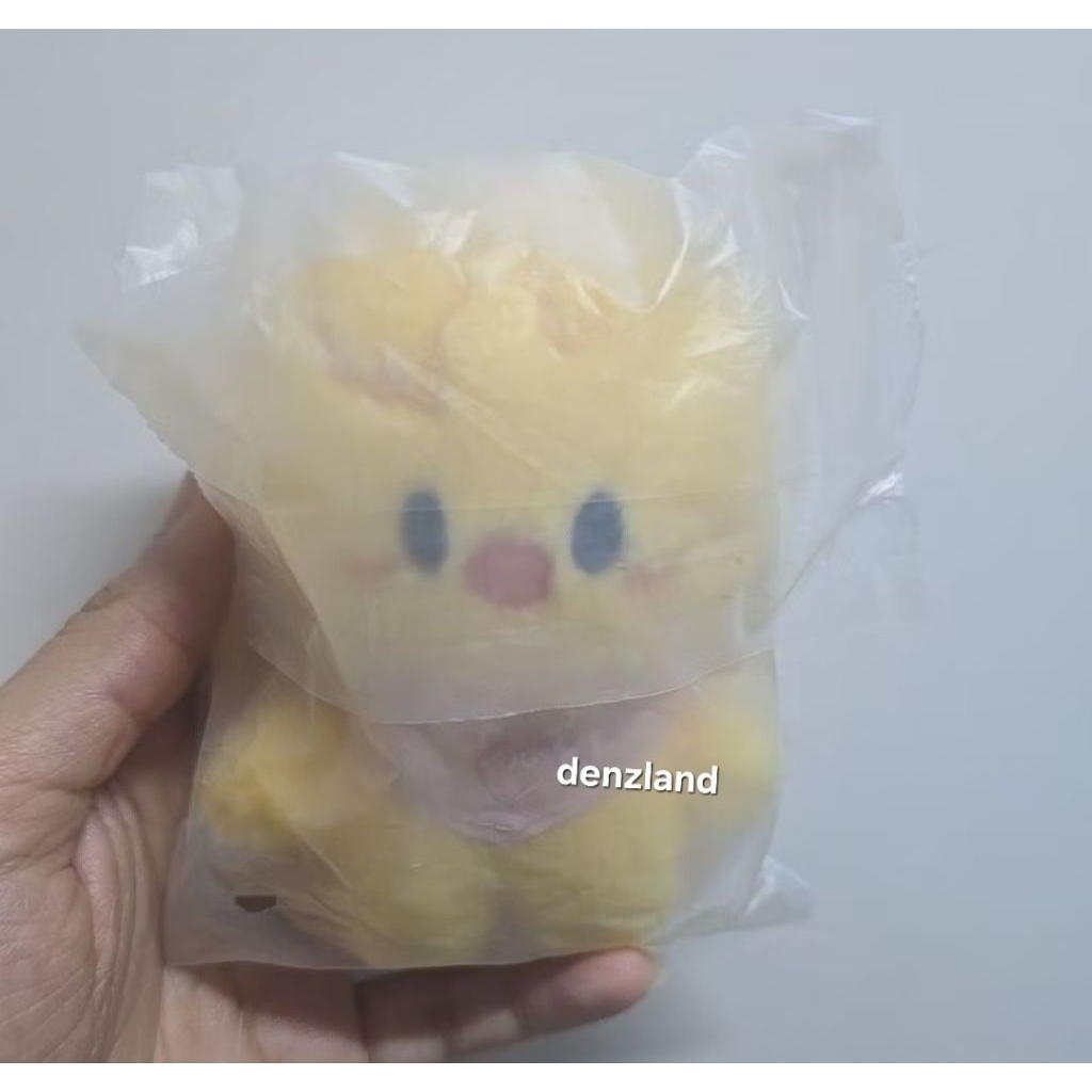 [READY INA] Stray kids photocard skzoo official original