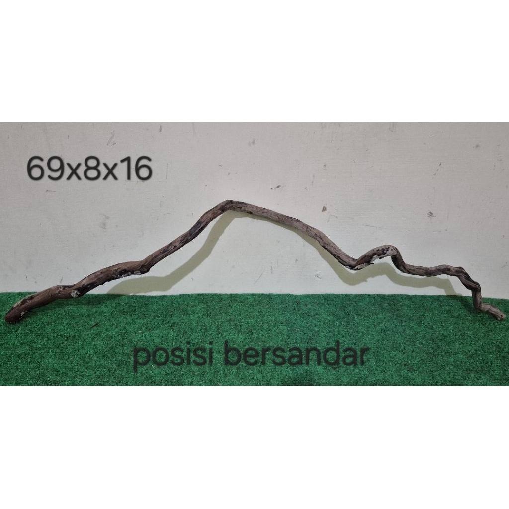 Kayu Santigi Laut Kecil 69cm Aquascape Aquarium Taman 69x8x16 D3