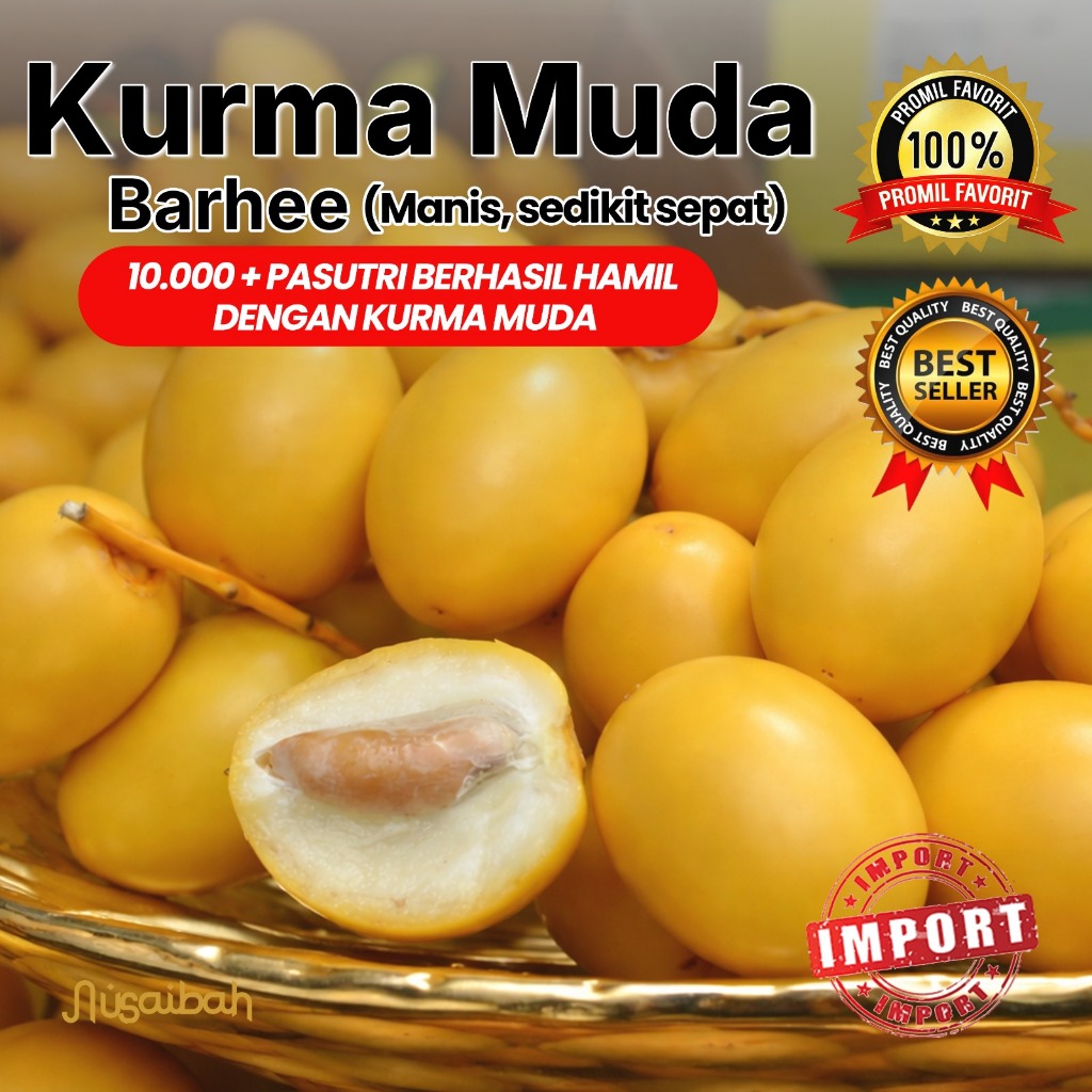 Kurma Muda Promil Kurmamuda Buah Impor Arab Mentah Segar Mengkal Ruthob Premium