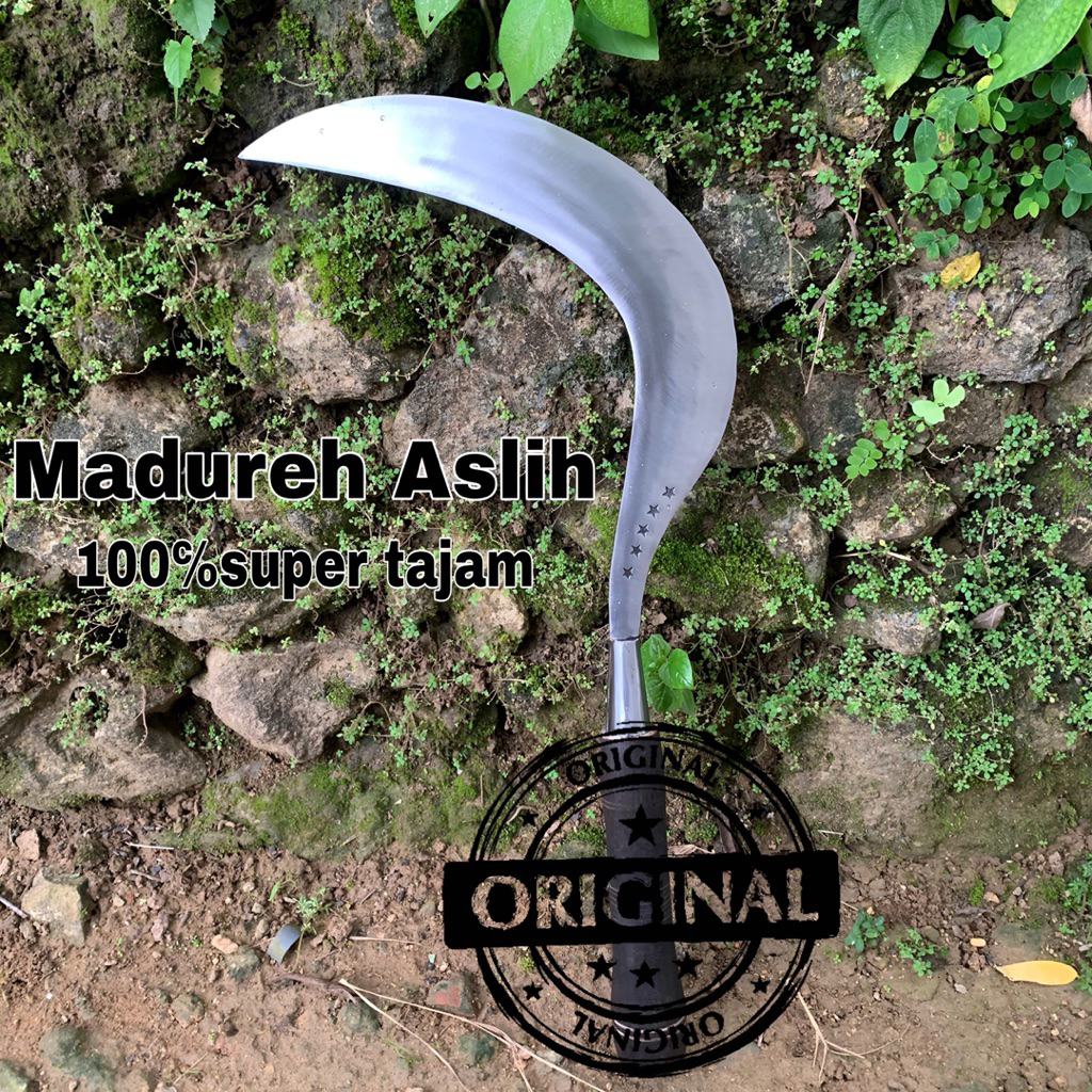 alat pertanian sabit rumput super tajam asli baja per khas Madura siap pakai