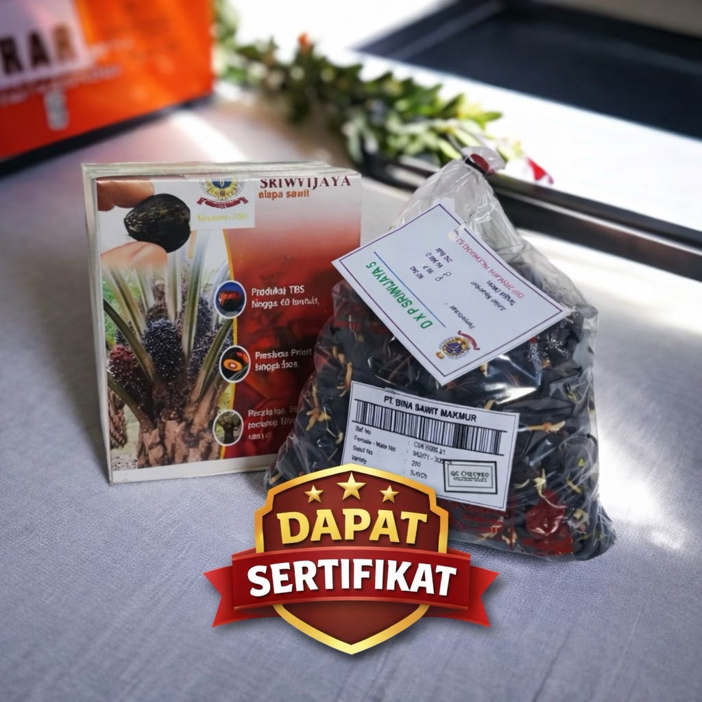 Bibit Kelapa Sawit Unggul Sriwijaya 5 Asli – Kecambah Sawit Bersertifikat Resmi, Siap Tanam