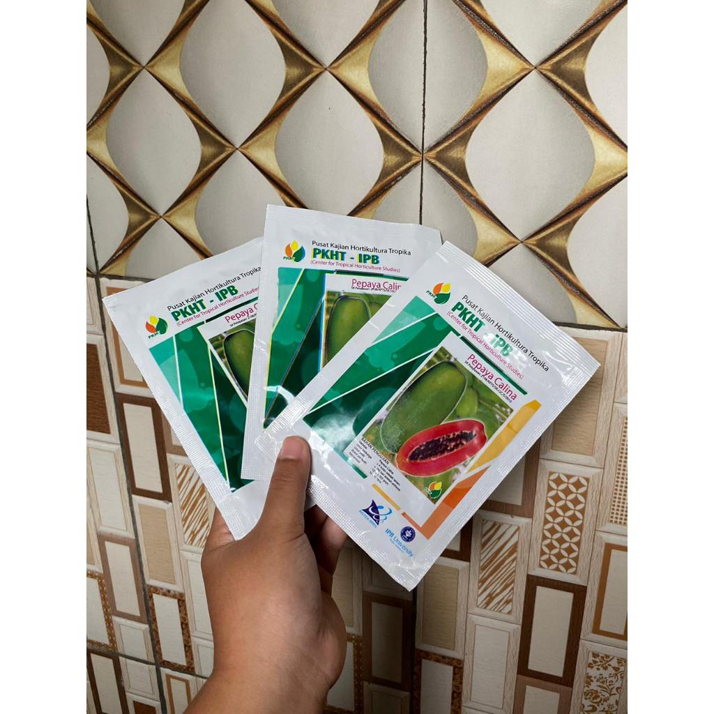 (ASLI) -BENIH PEPAYA CALIFORNIA IPB9 KEMASAN 5GRAM MANIS,LONJONG,LEBAT