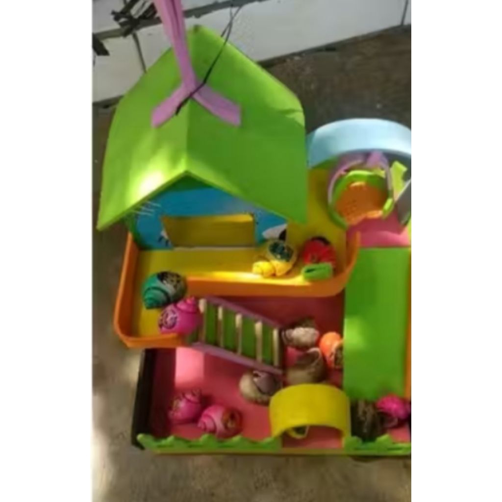 Rumah kelomang besar + 5 kelomang warna