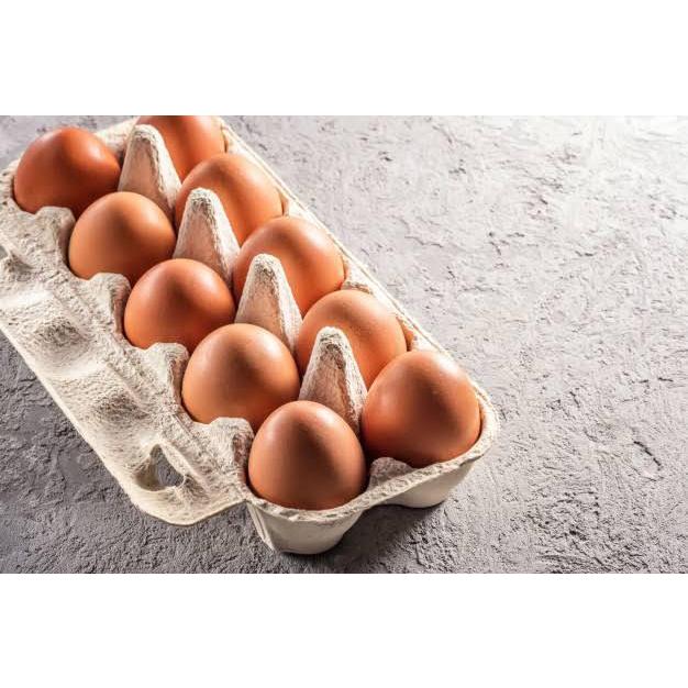 Box  tempat telur karton (egg box)/tempat telur karton