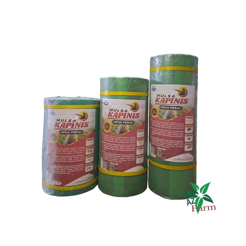 MULSA KAPINIS HITAM PERAK DGW