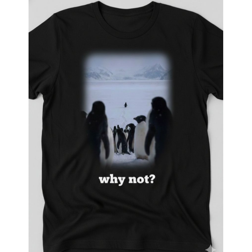 kaos why not penguin