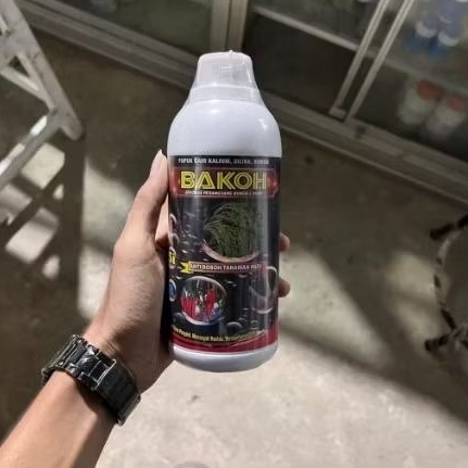 pupuk cair kalium,silika,boron BAKOH