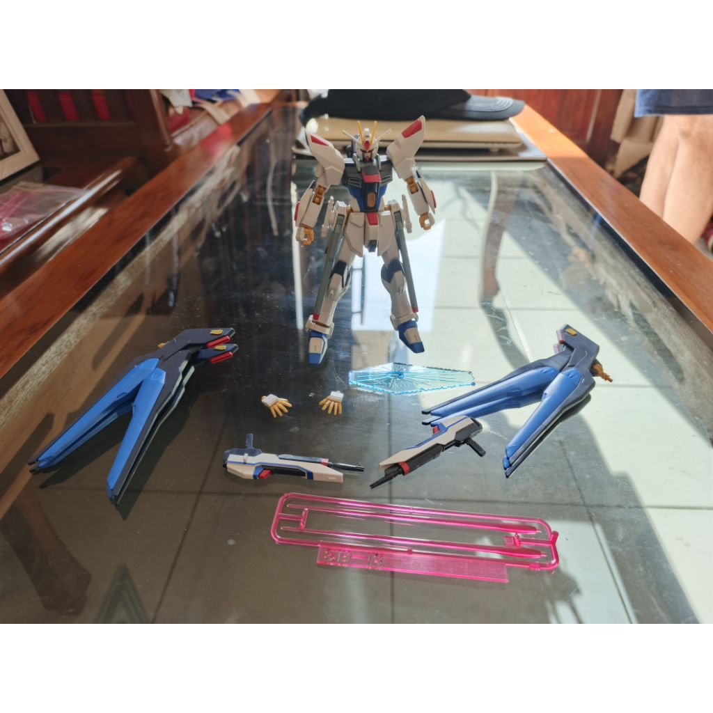 HG Strike Freedom Bandai