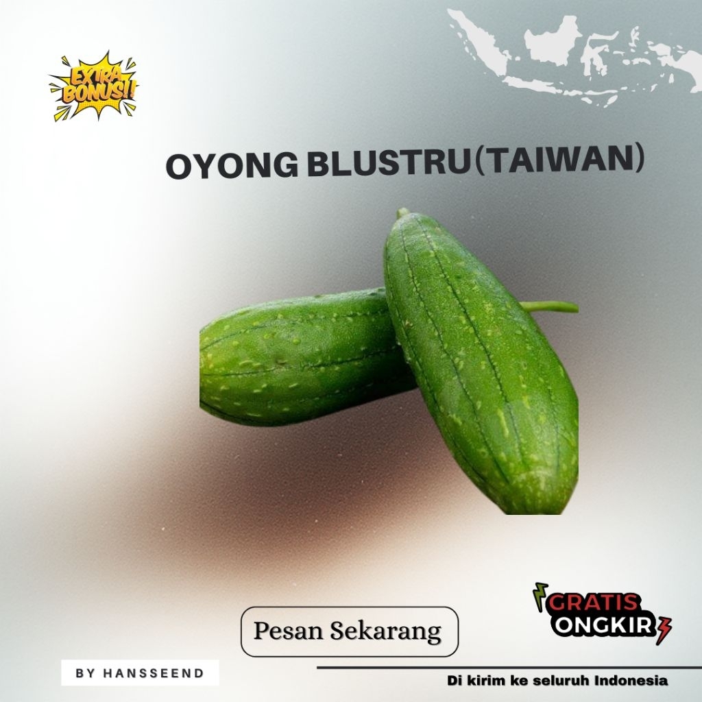 (250 biji) BIBIT BENIH OYONG BLUSTRU TAIWAN | EXTRA BONUS