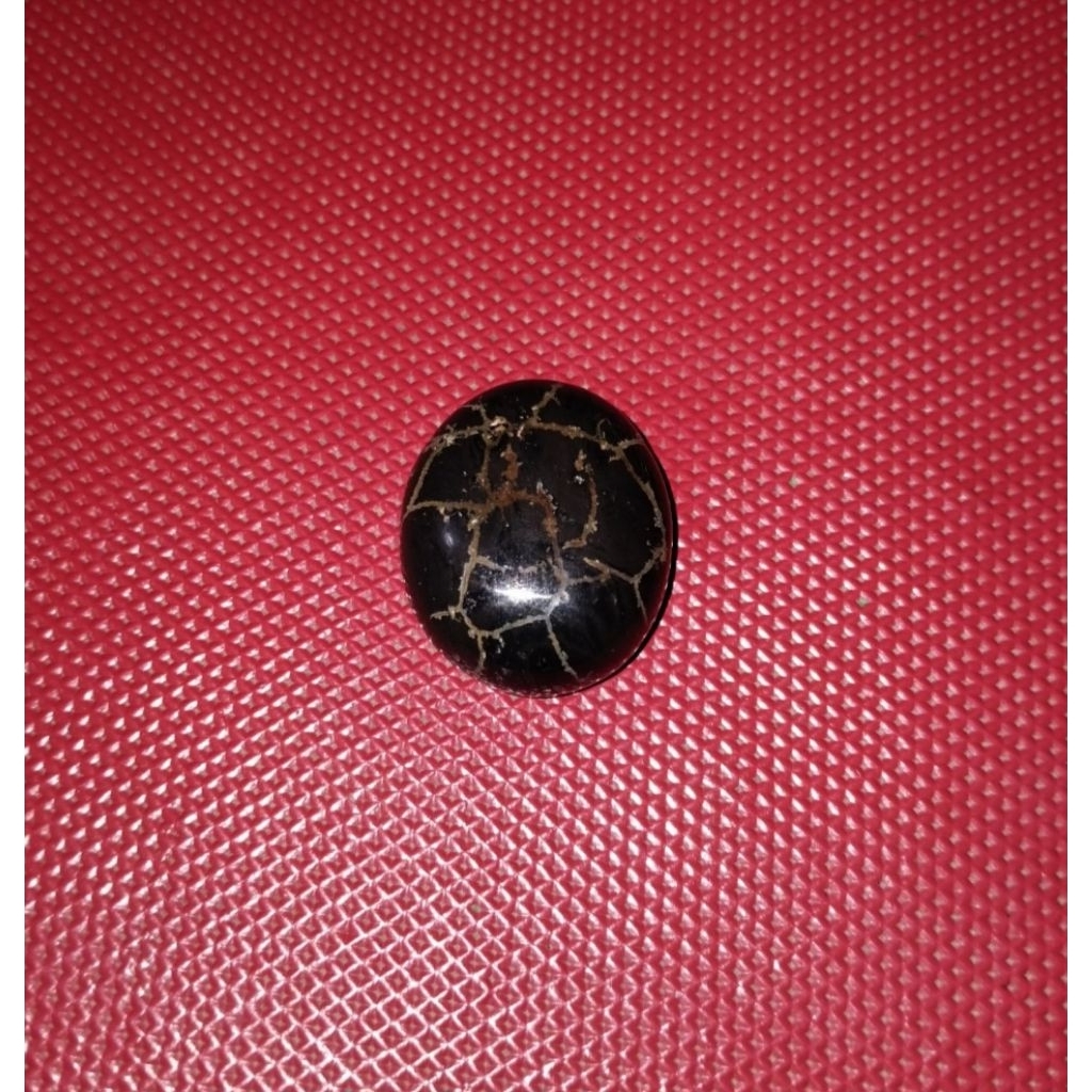 Lostune badar besi semeru lumajang asli urat tunggal kura kuning emas badar besi semeru urat kura ku