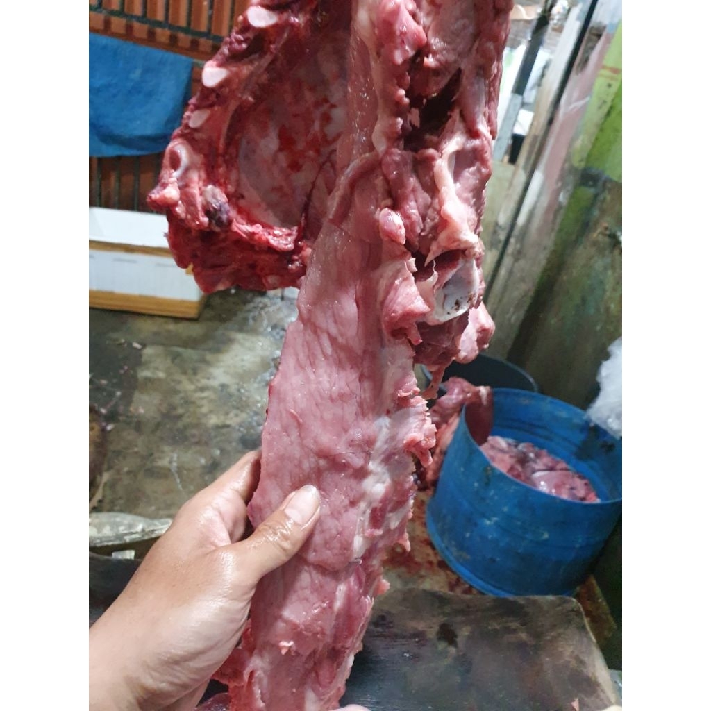 Daging Babi Muda Daging Babi,Sancang,Daging,Daging Has Dalam/Luar/Campur,Tulang Rusuk Panjang/Lebar/
