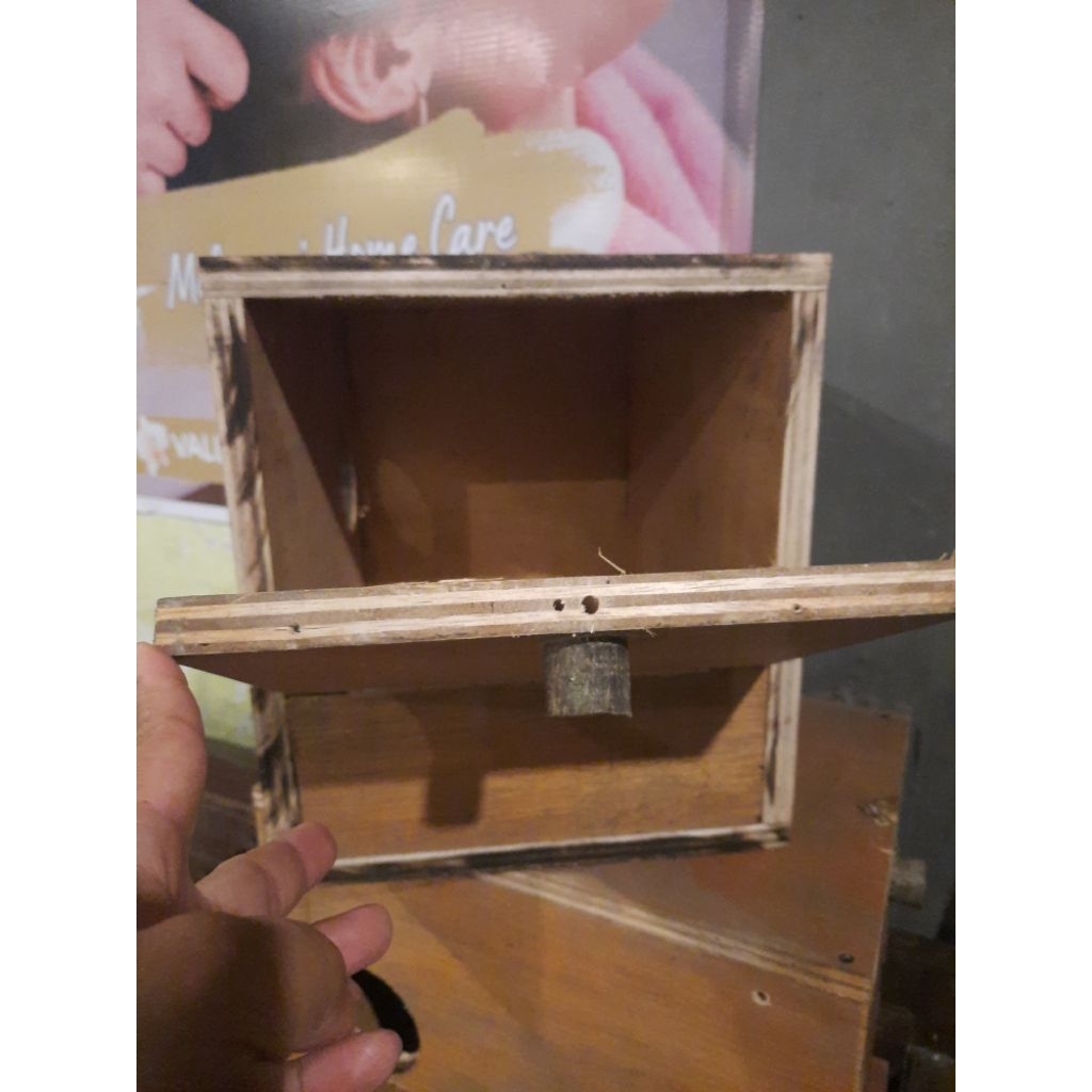 glodok burung falk atau burung parkit australia  uk 40cmx25cmx28cm