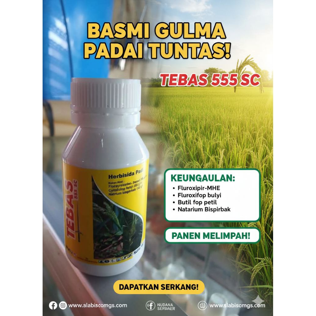 Herbisida padi/anti gulma padi/obat suket