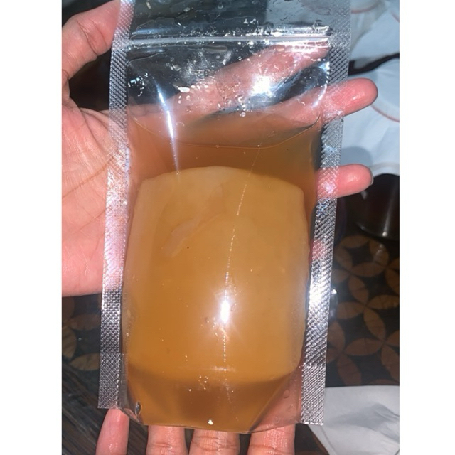 SCOBY Kombucha / Bibit Kombucha dan Starter Kombucha Fermentasi