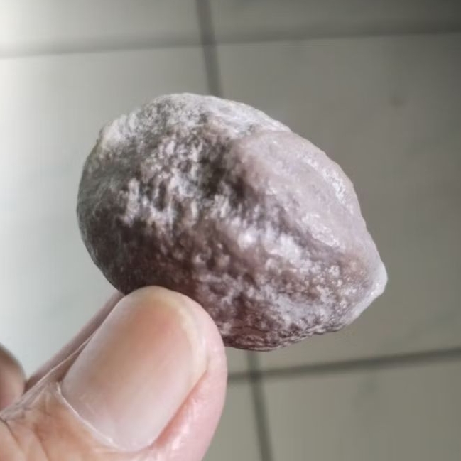 Kemiri Muncang Adu Kaliwiro Ori Tua Jatuhan