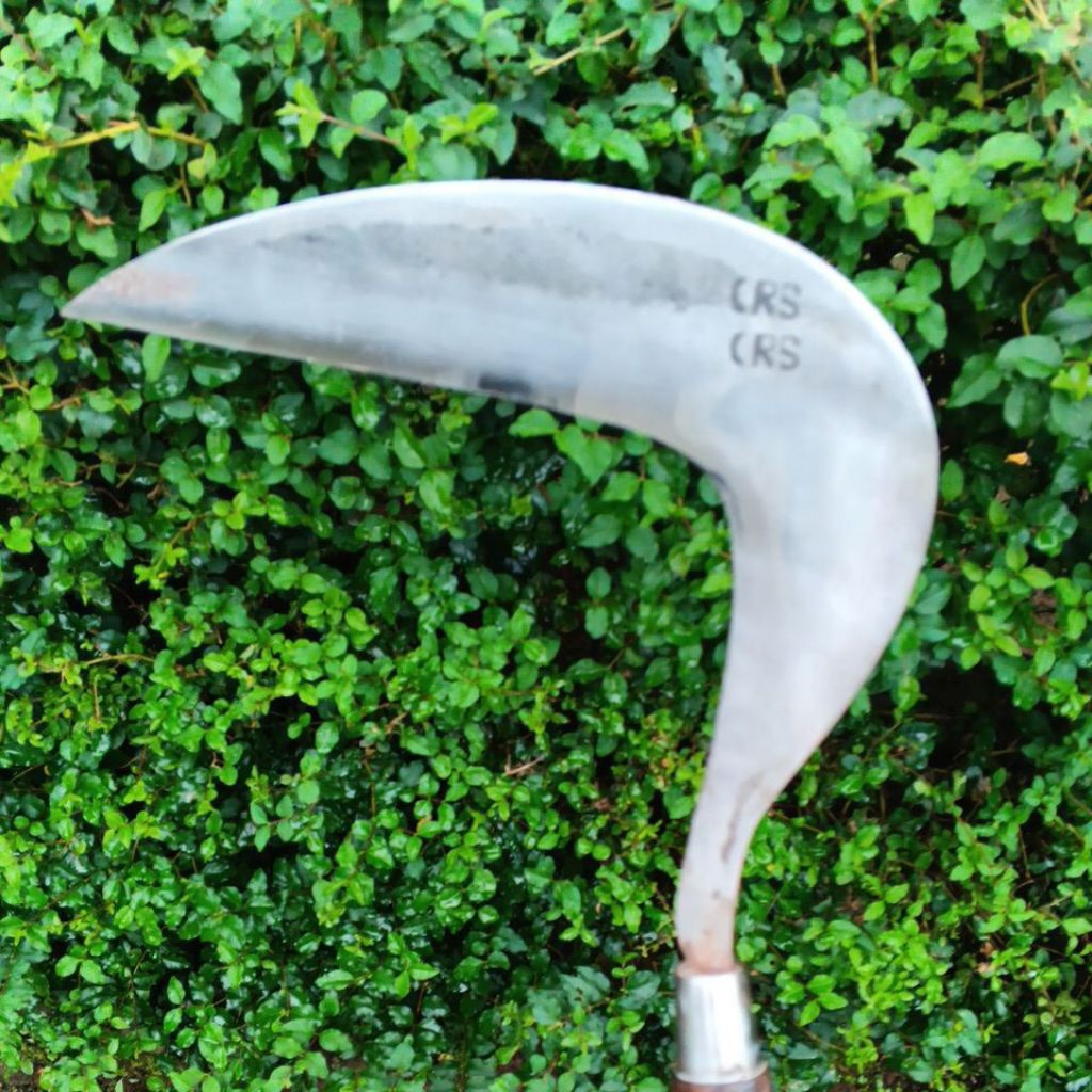 arit sabit motif jawaan