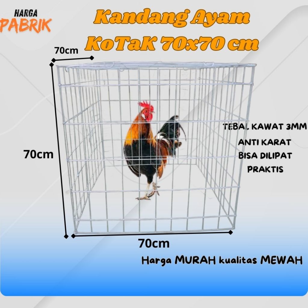 Kandang Ayam Lipat murah Bahan  Galvanis Anti Karat ukuran 70x70cm