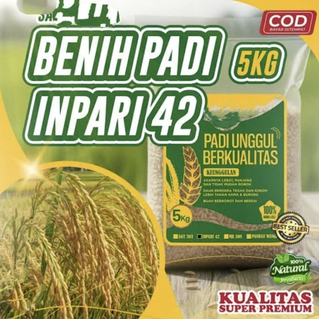 Benih Bibit padi inpari 42 kemasan 1Kg